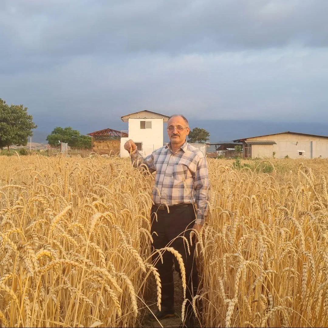 خلیل-زینلی-نژاد